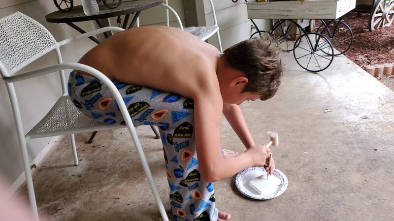 Ender, 2019